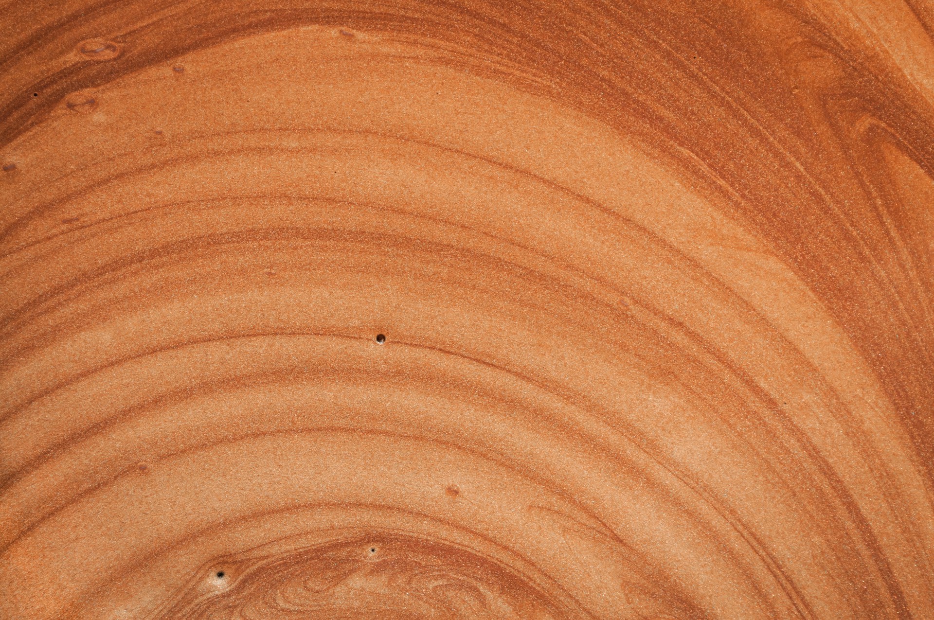 Lazarescu alexandra Qpvhd TgcL8 unsplash